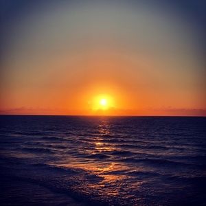 Meet your Posher, Angel